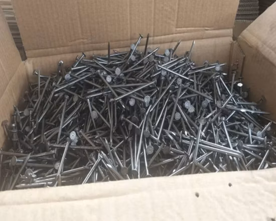 Проволока с шипами с круглой/плоской головкой, стальные гвозди, обычные гвозди, железо, заводская цена, нержавеющая сталь, большой утюг, гладкий, обычный гвоздь GB